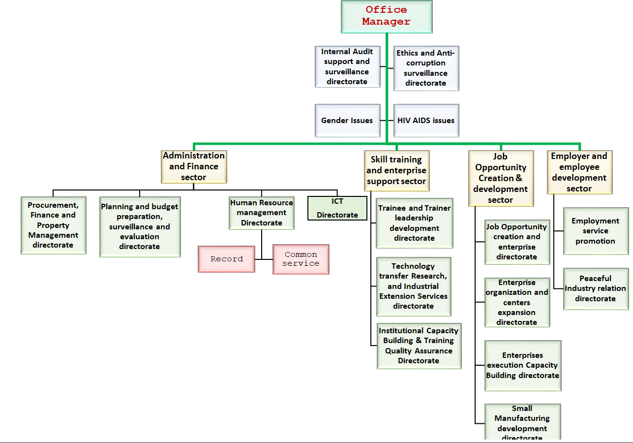 Sidaama Region Labor and Skills Bureau Organogram Chart